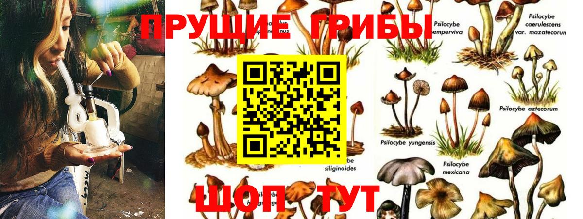 Псилоцибиновые грибы MAGIC MUSHROOMS Дербент