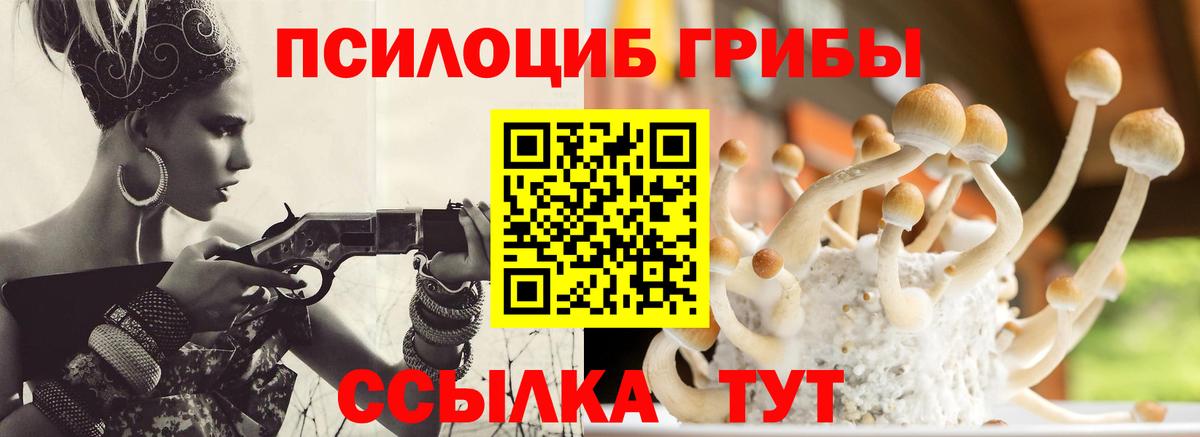 Галлюциногенные грибы мицелий  где найти наркотики  Дербент  Вход с VPN 
